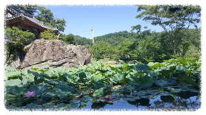 산북면에 위치한 주암정