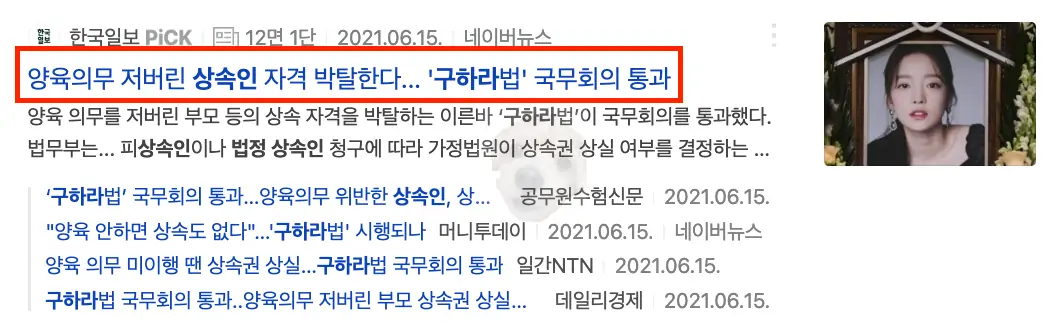 구하라법 관련 뉴스