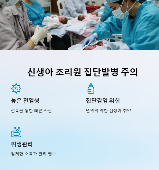 RSV 바이러스 폐렴 증상 백신 예방접종 성인 신생아