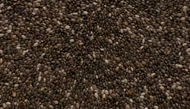 치아씨드 다이어트 효능