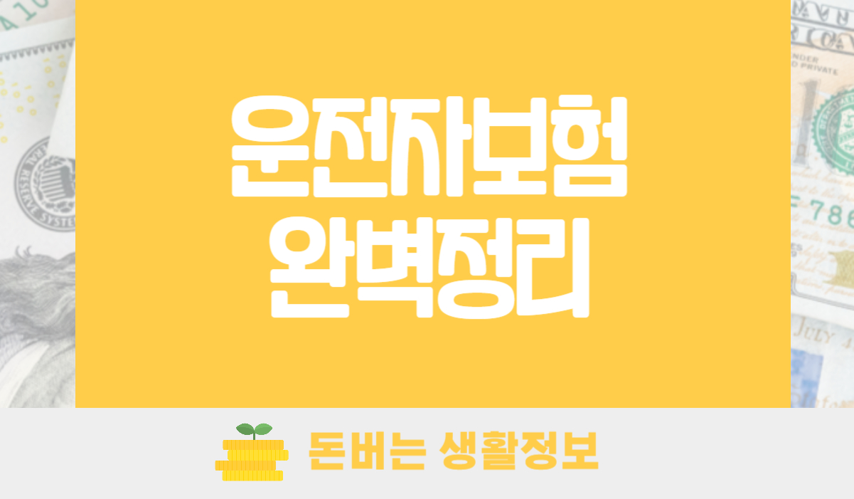 운전자보험