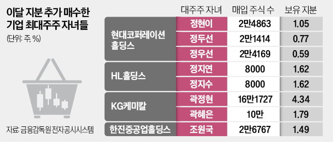 KG&middot;HL&middot;대신證 등 오너 자녀, 급락장에 지분 확대 나섰다