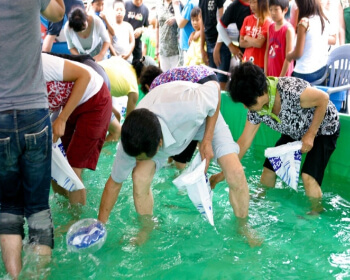 삼천포 전어축제_8