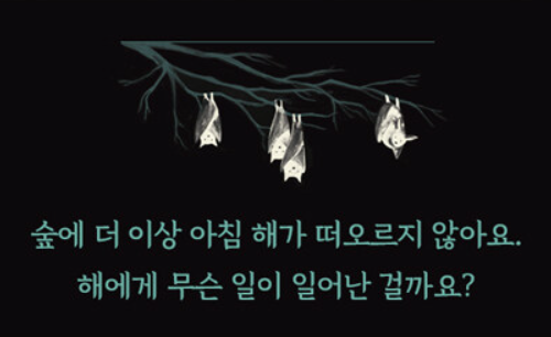 아침을 기다리는 숲