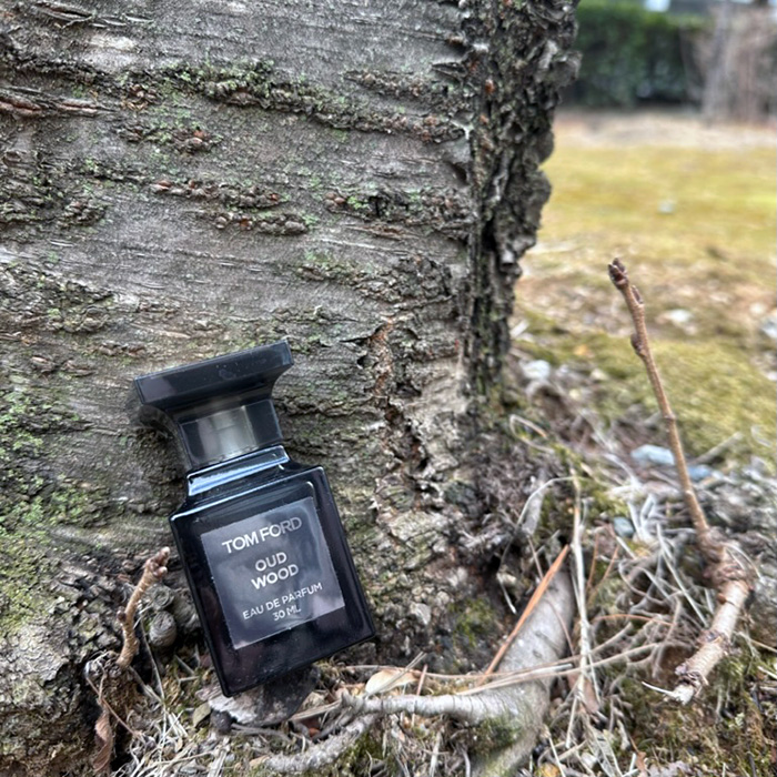 톰포드 오드우드