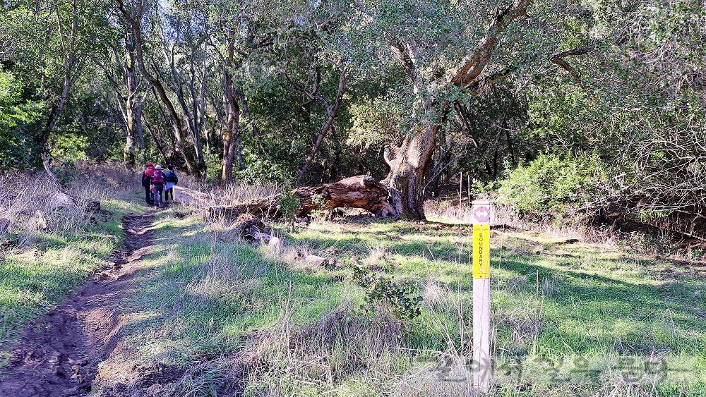 Old Finley Trail