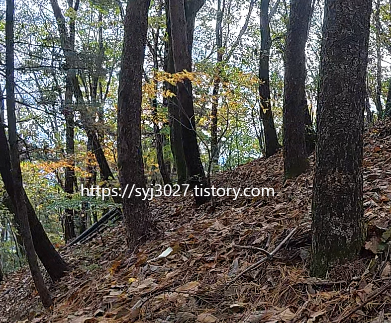 Alt 속성 문제 해결 설명 이미지