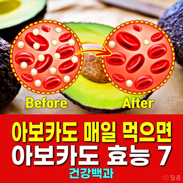 아보카도 매일 먹으면 아보카도 효능 아보카도 1인분 하루섭취량