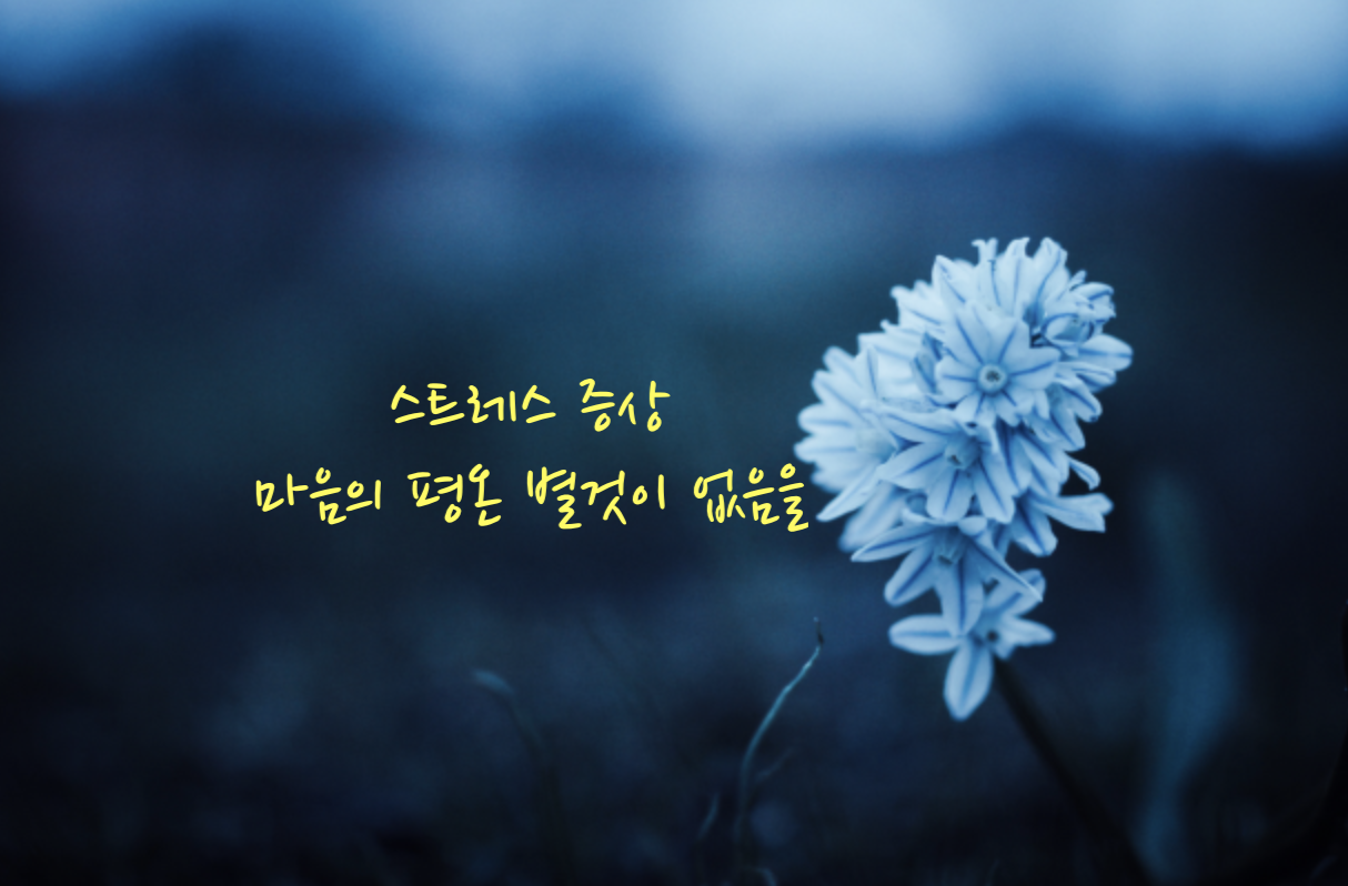 스트레스 증상