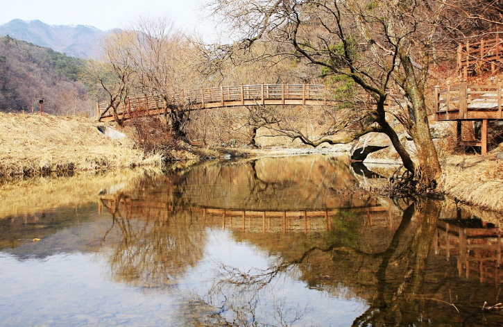세종시 힐링여행 자연 먹거리 놀거리 사진