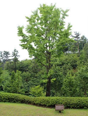 순천만 국가정원