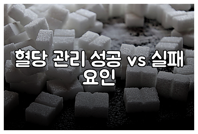 혈당 관리 성공 vs 실패 요인
