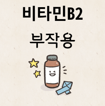 비타민B2 부작용