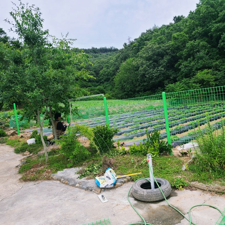 전원주택 울타리 구미, 김천, 왜관, 칠곡 휀스시공