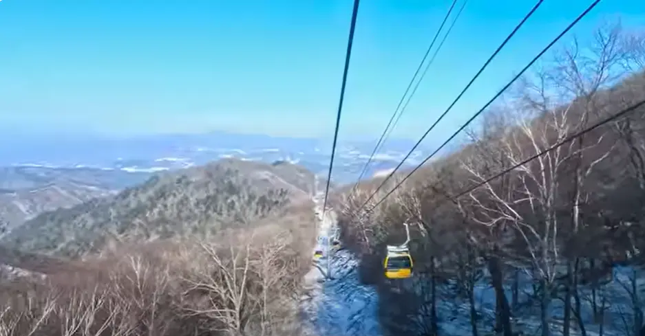 겨울방학 국내 여행지- 갈색 나무사이 노란 케이블카