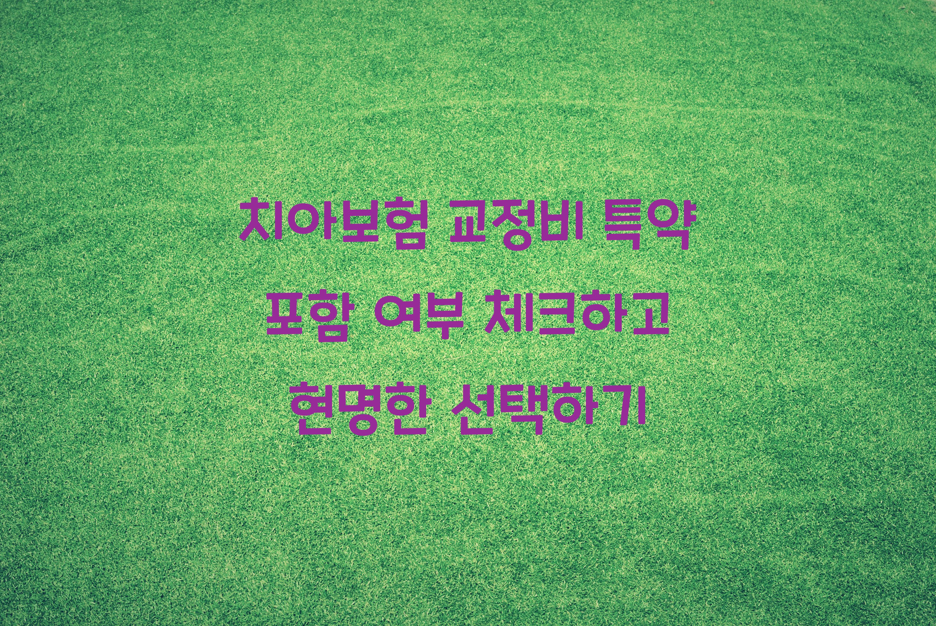 치아보험 교정비 특약 포함 여부