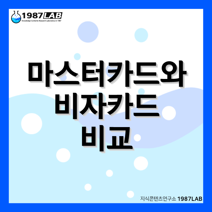 마스터카드와 비자카드 비교
