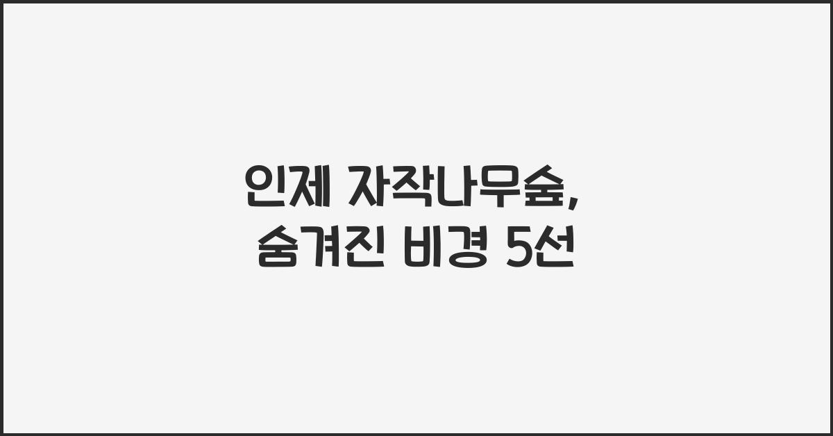 인제 자작나무숲