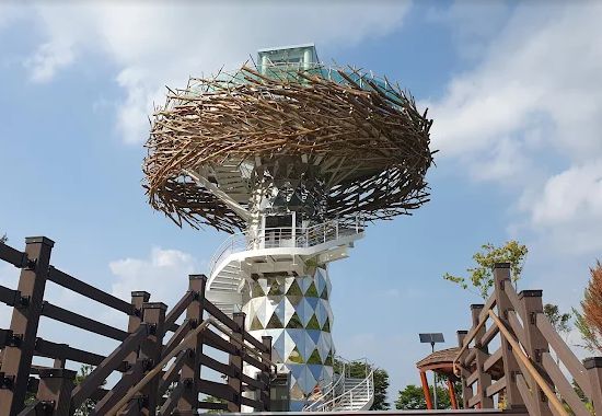 섬진강침실습지