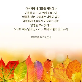요한복음 10장 10절 성경말씀 - 내가 온 것은 양으로 생명을 얻게 하려 함이라_13