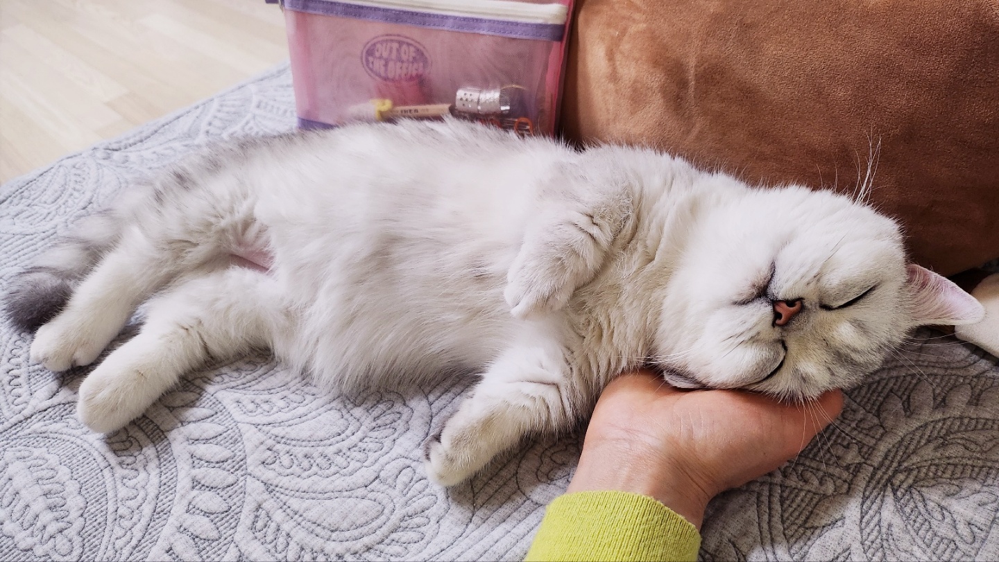 만성피로 원인? 마그네슘 체크 (수면장애, 근육통, 스트레스)