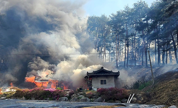 강릉 산불 확산