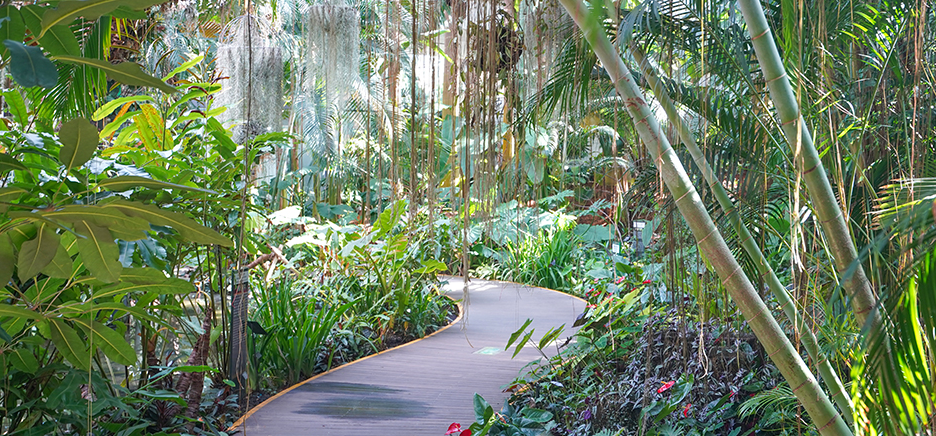 서울식물원 온실