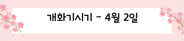 봄꽃 여행지