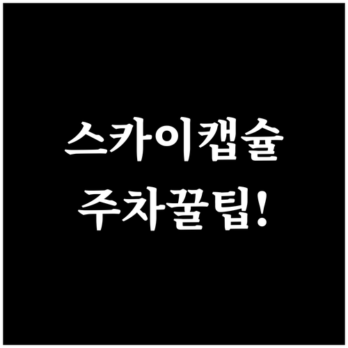 해운대 스카이캡슐 미포 정거장 청사포..