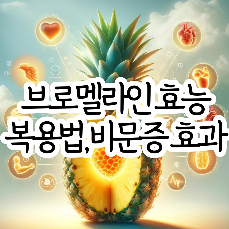 브로멜라인 효능 부작용 복용법 브로멜라인 비문증