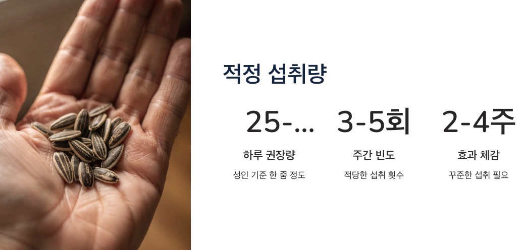 해바라기 씨 섭취방법