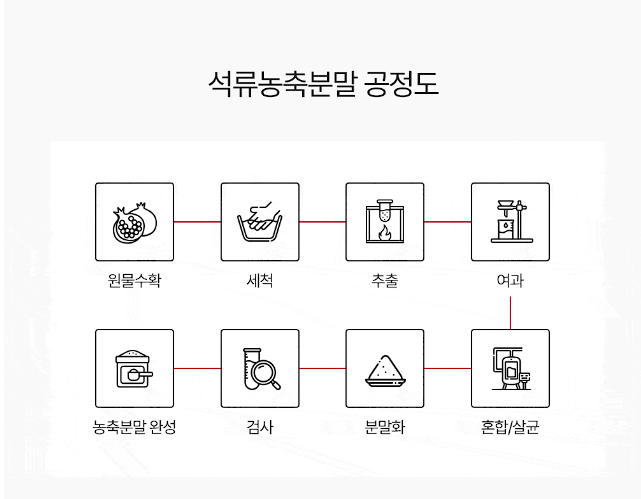 석류로겐 내돈내산 후기