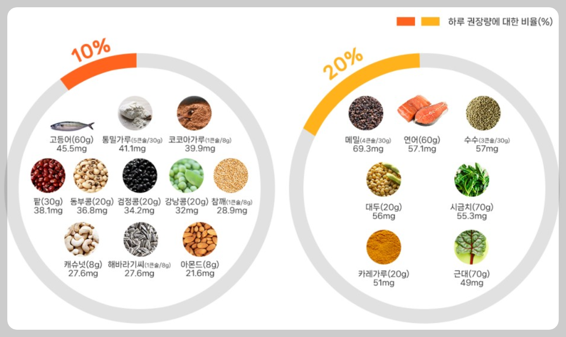 마그네슘 하루 권장량