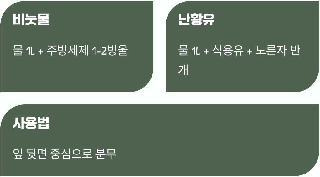 주방 세제와 식용유의 놀라운 변신