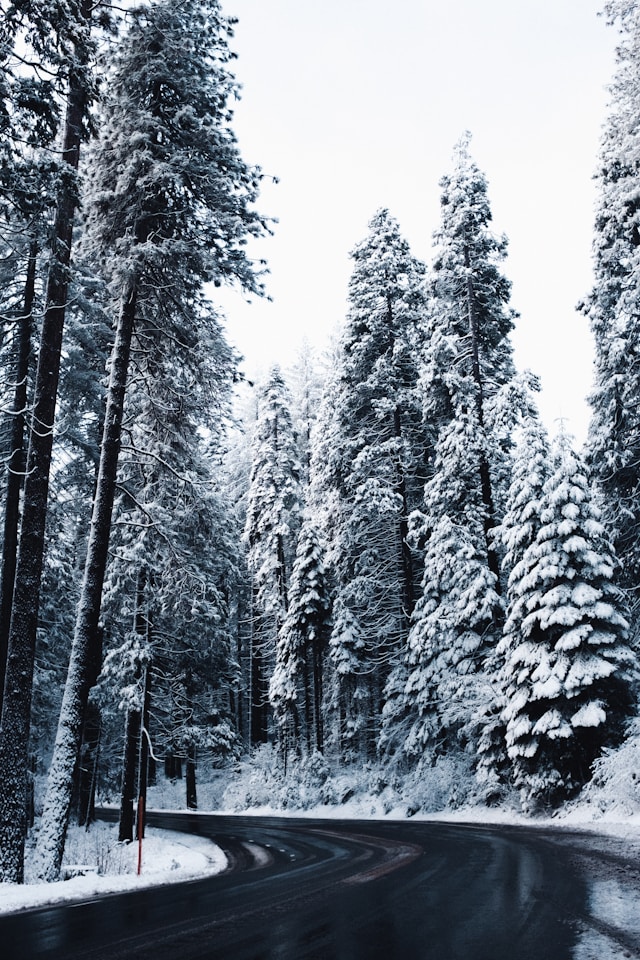 내일 아침 대설 예보 확인 출근길 대란 대비법