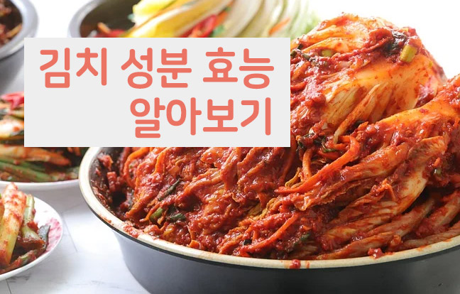 김치 성분 효능
