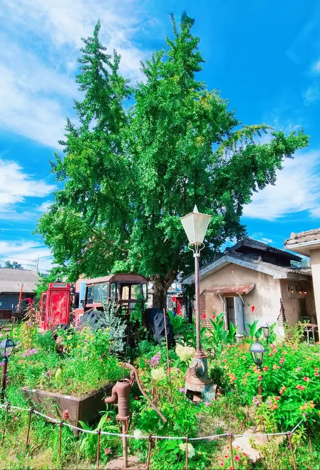 인천 가볼만한 곳, 강화도 조양방직 카페: 레트로한 포토존, 음료 할인받는 방법 보기