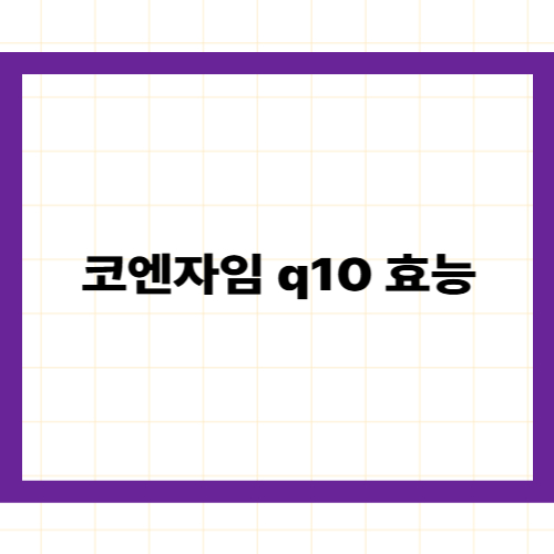 코엔자임 Q10 효능 —
나이 들수록 부족한 세포 에너지의 핵심이자 심장 수호신