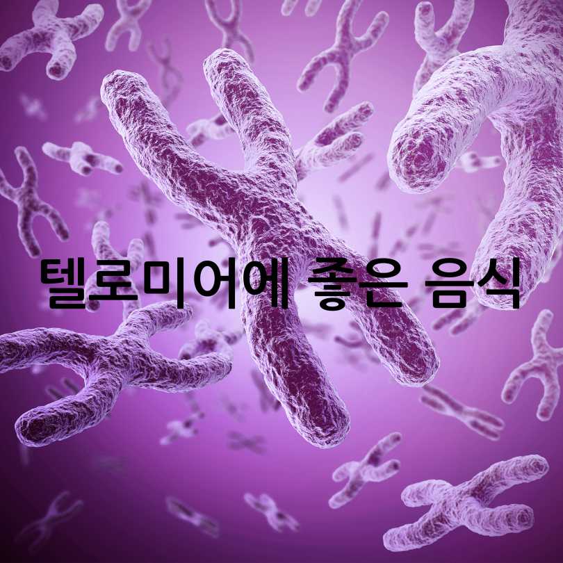 텔로미어늘이는방법