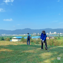벌초 대행 서비스 사진10