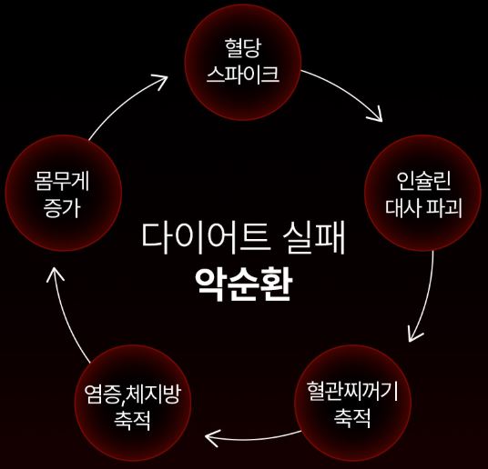 콜레스컷-부스터-효능
