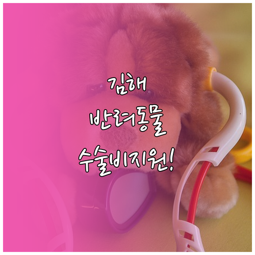 김해 반려동물 진료비 수술비 지원금 ..