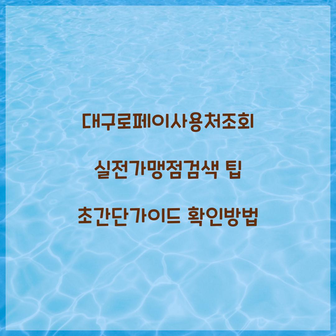 대구로페이사용처조회