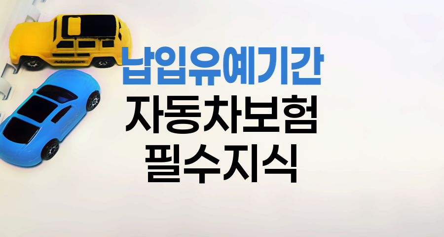 자동차보험 납입유예기간 핵심 정보