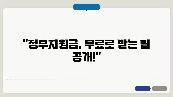 정확한 정부지원금 신청 가이드