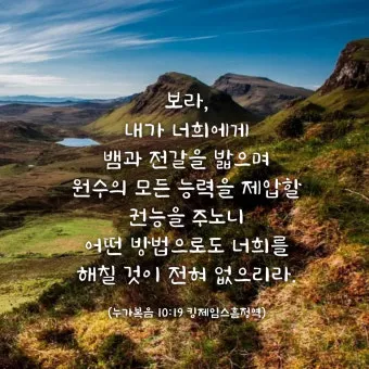 매일성경묵상과 실천(누가복음 10장 25-42절) 누가 내 참된 이웃입니까?_10