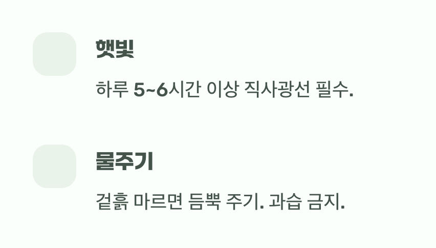 쑥쑥 자라게 하는 두 가지 필수 조건