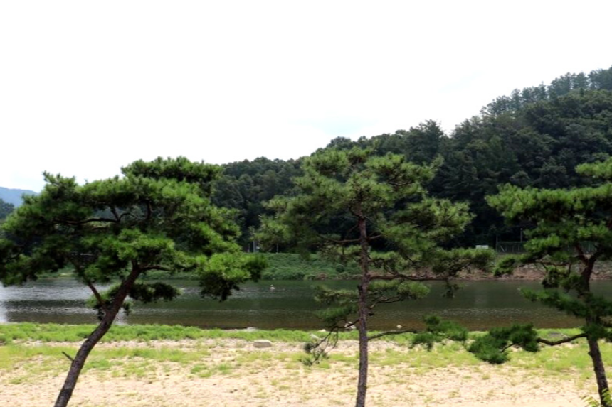 특색 있고 아름다운 민간 정원 30선 추천 여행 - 20. 괴산트리하우스 가든