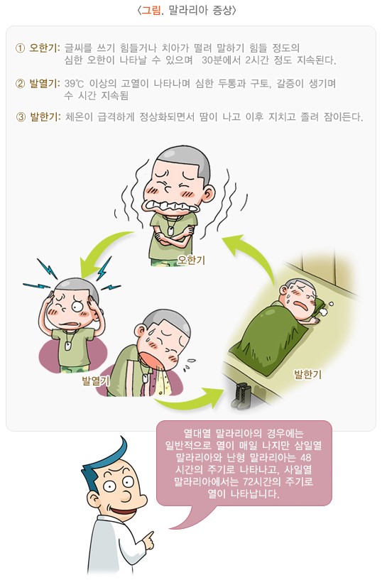 말라리아 증상