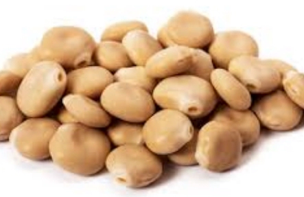 루피니빈먹는법 BEST 5